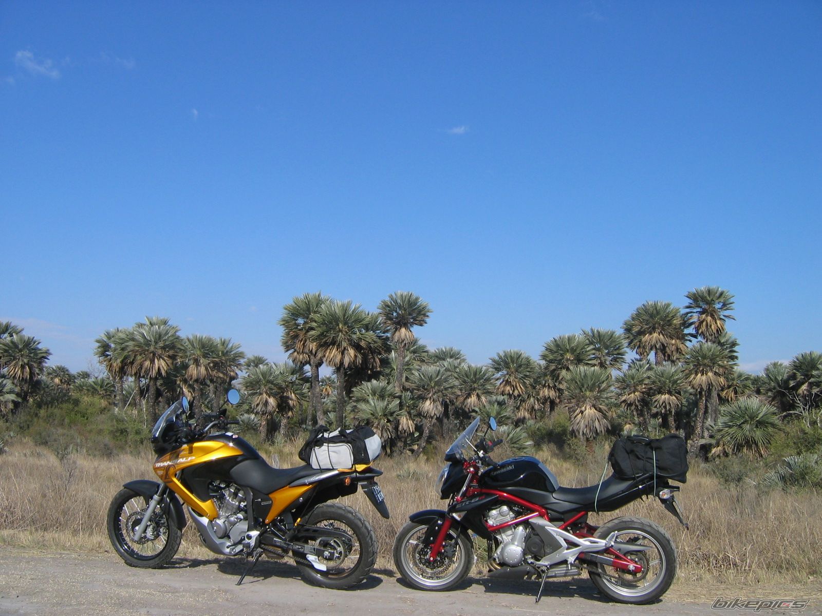 Photo 1396425