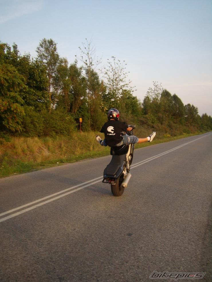 Photo 1396453