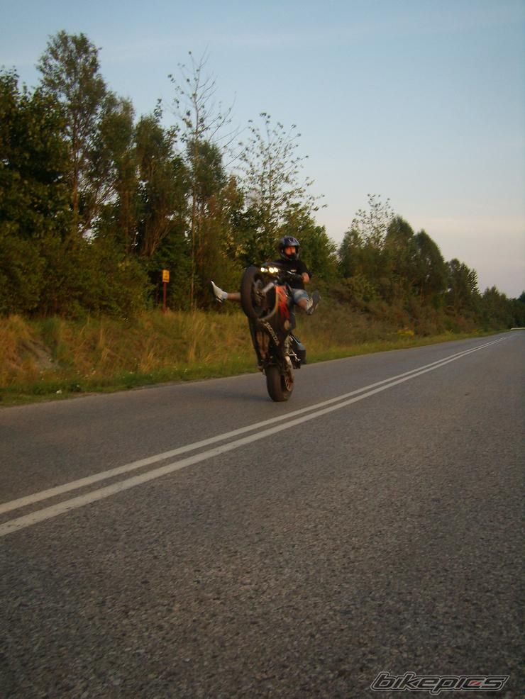 Photo 1396456