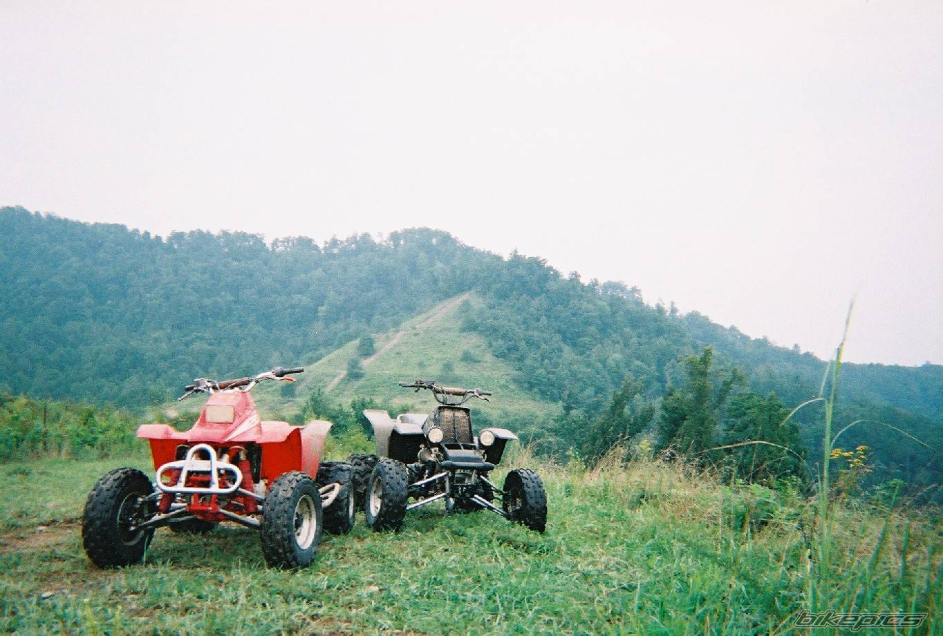 Photo 139649