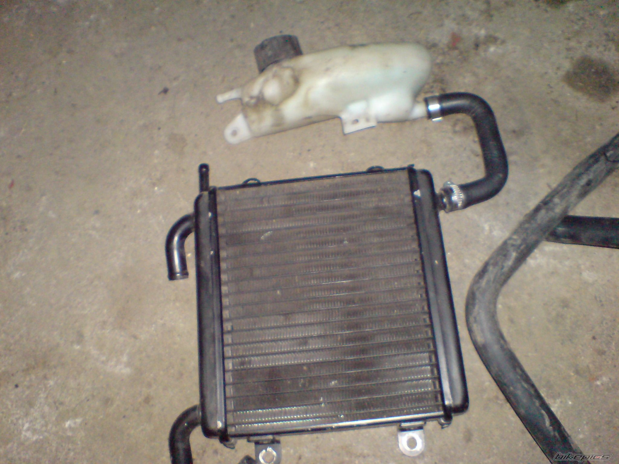 Photo 1396496