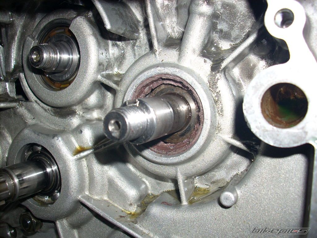 Bike Photo 1396500