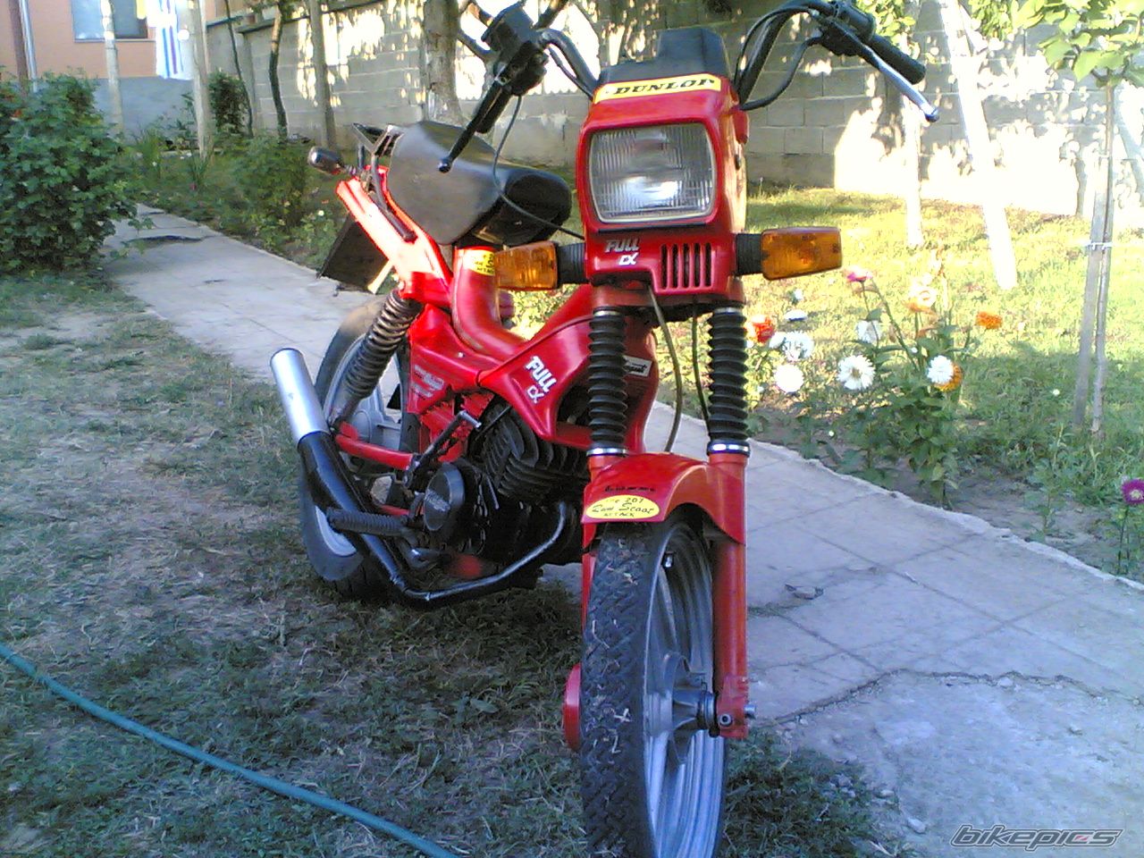Photo 1396503