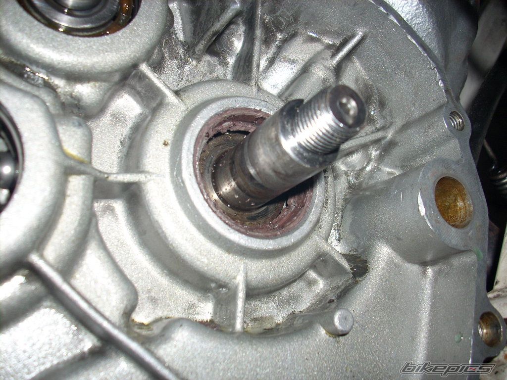 Bike Photo 1396504