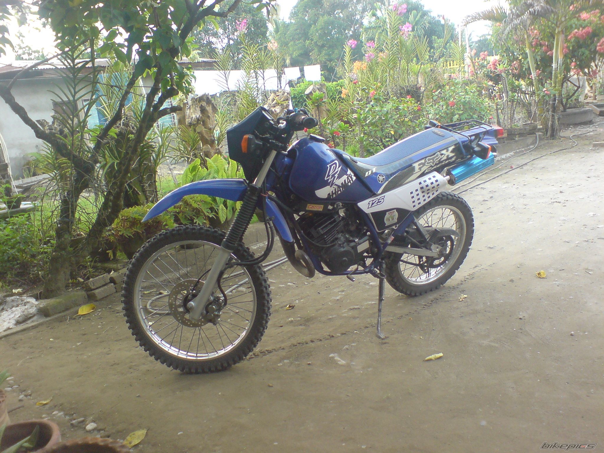 Photo 1396508