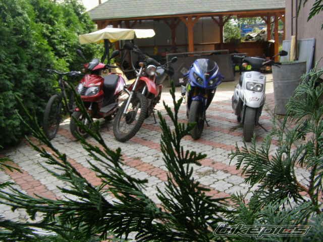 Photo 1396583