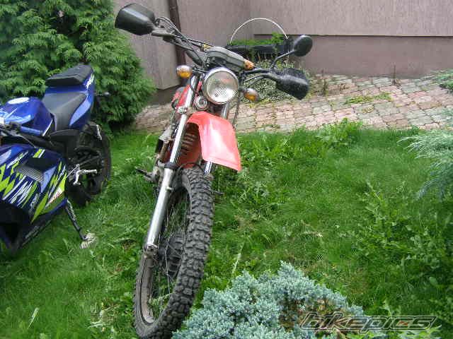 Photo 1396585