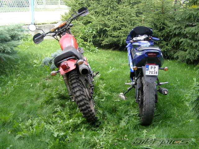 Photo 1396587