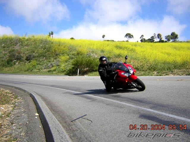 Photo 139675