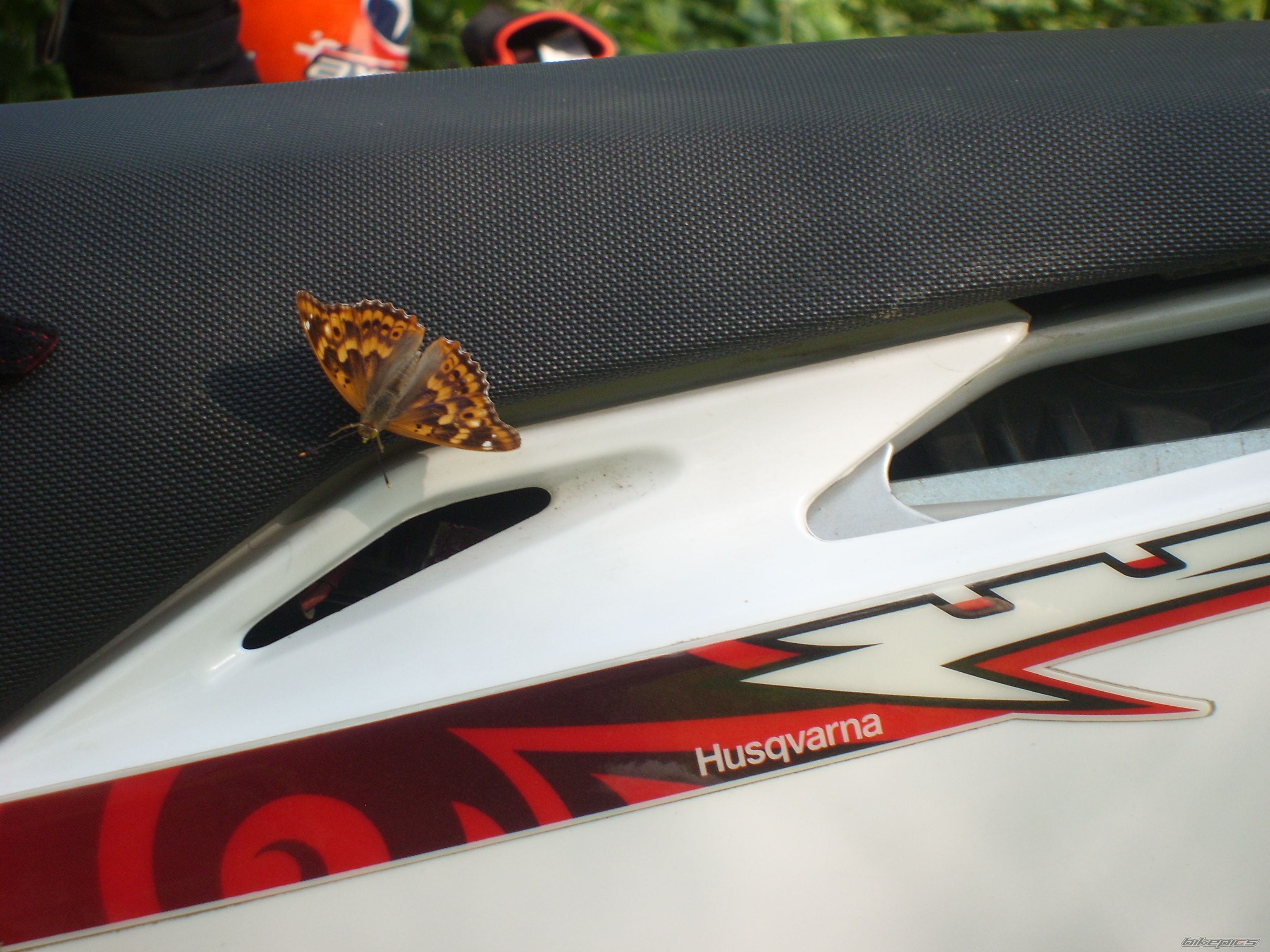Bike Photo 1396854