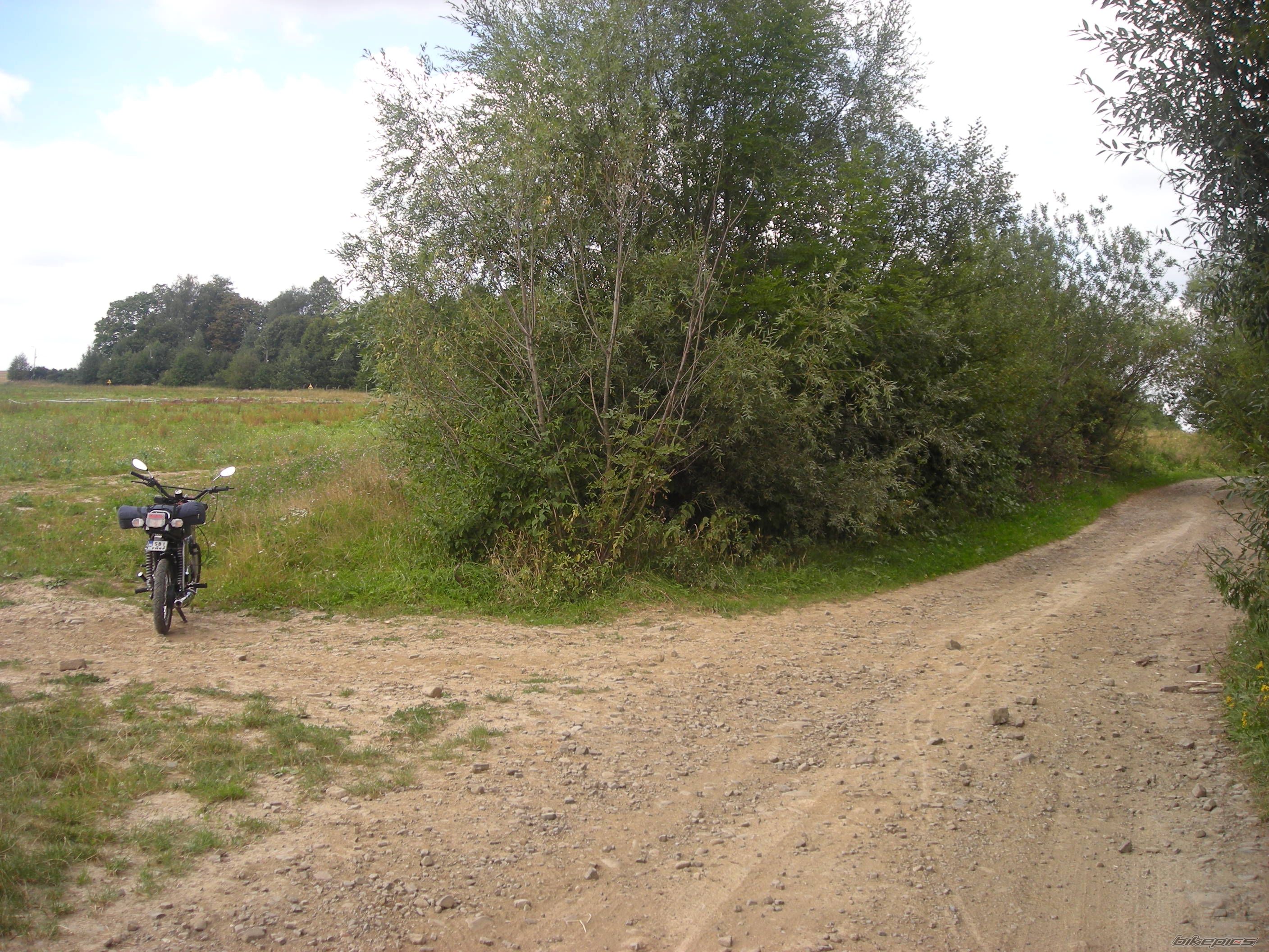 Photo 1396902