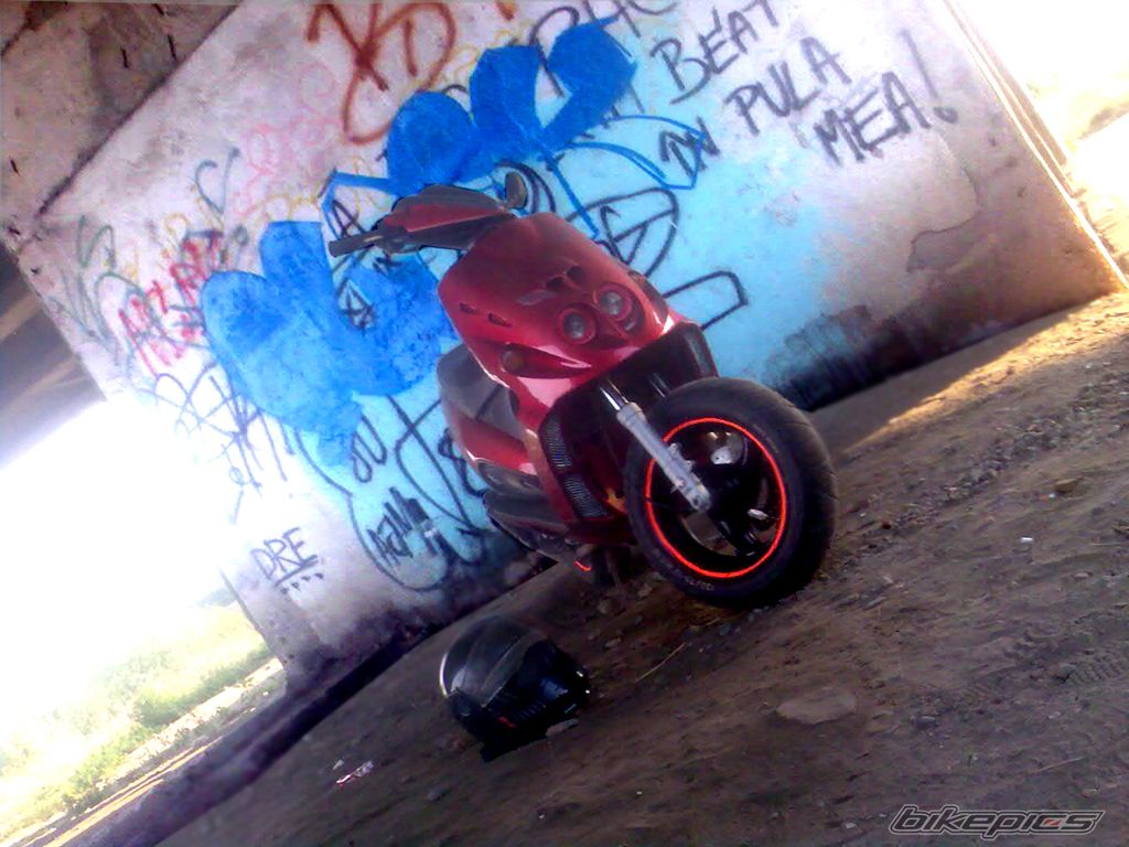 Photo 1396958