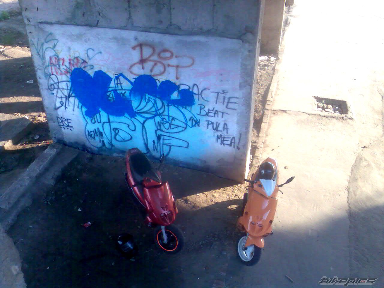 Photo 1396962