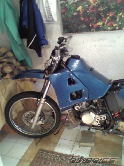 Photo 1396964
