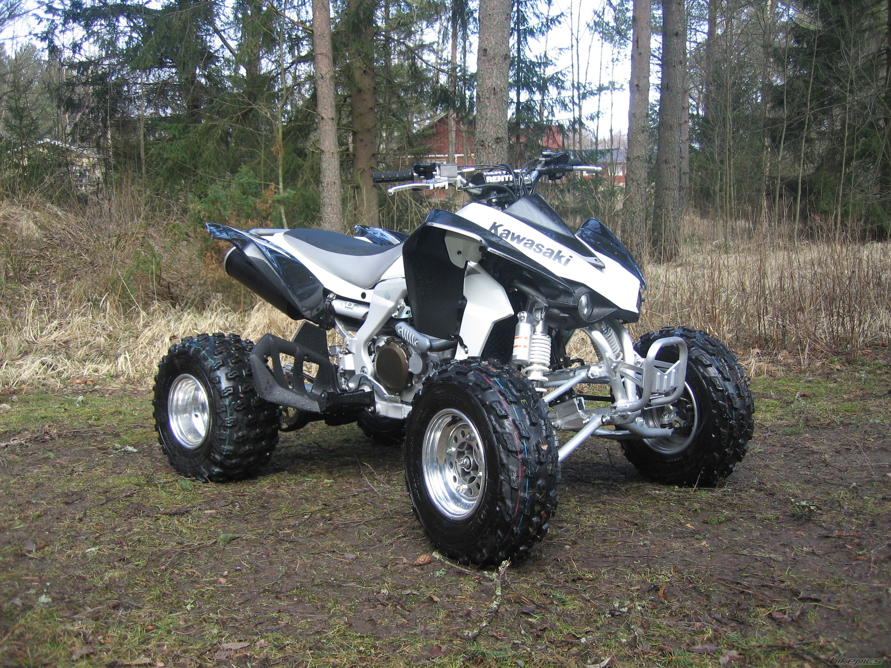 Photo 1396965