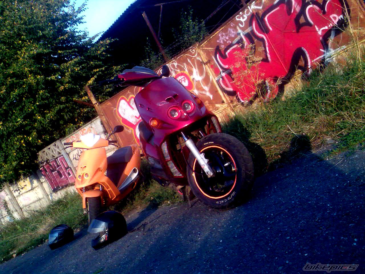 Photo 1396969