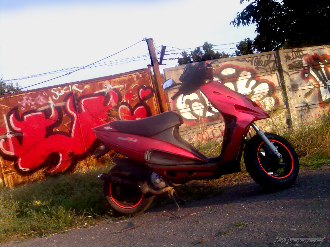 Photo 1396976