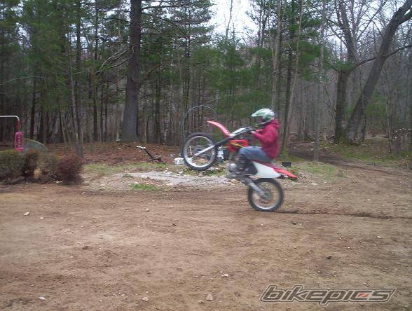 Photo 139700