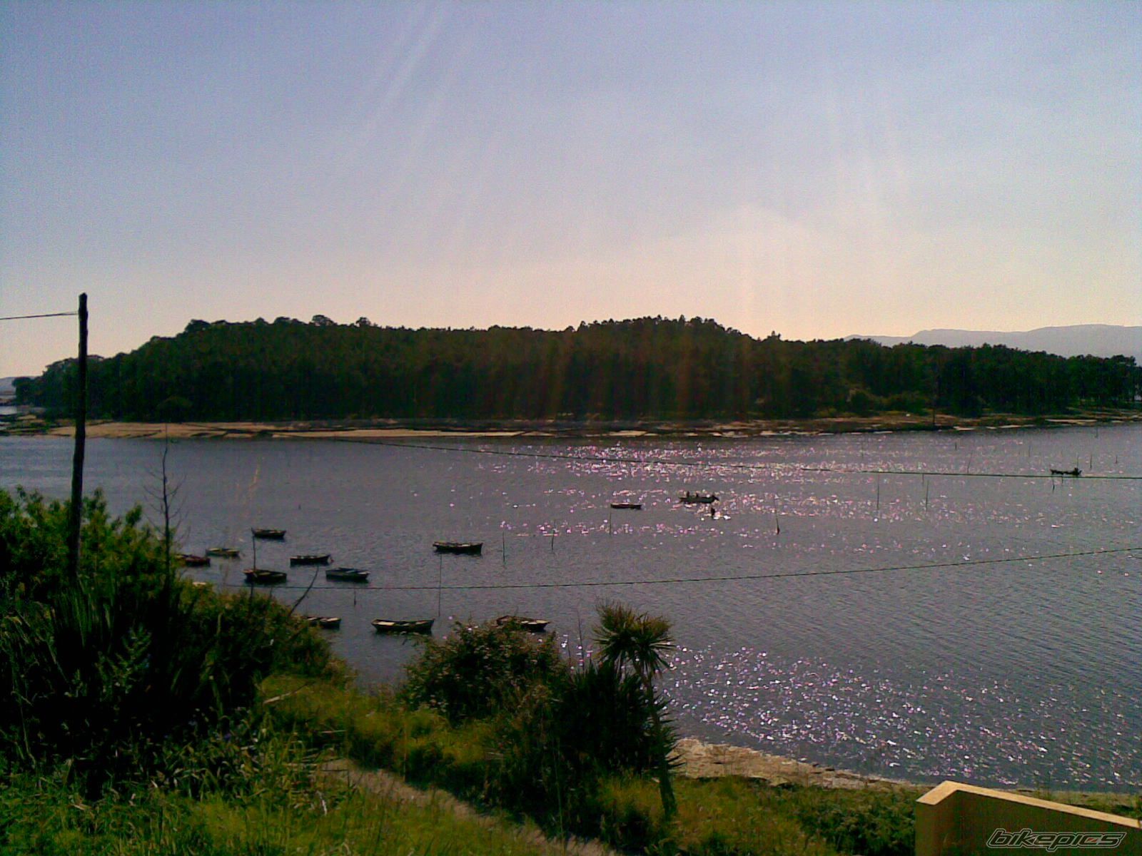 Photo 1397007