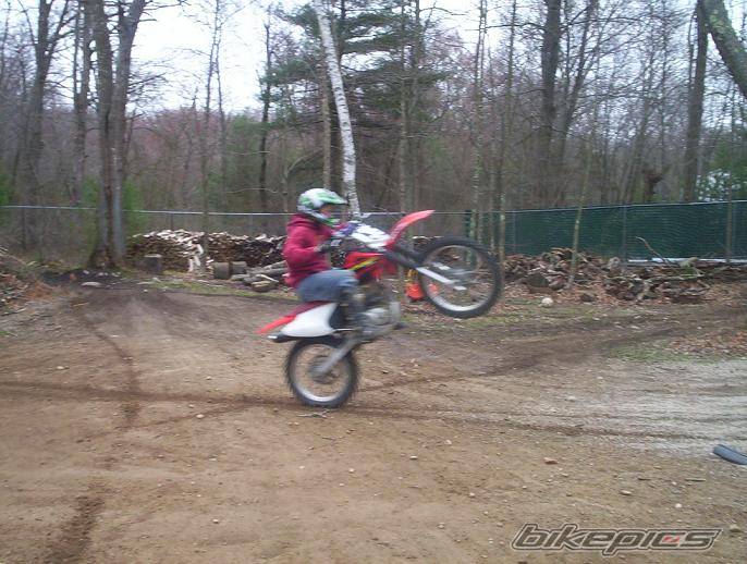 Photo 139702
