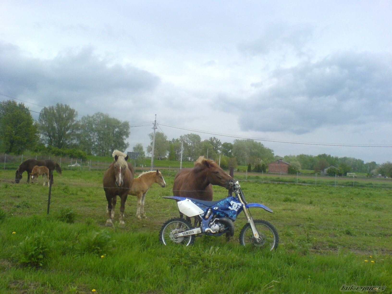 Photo 1397038