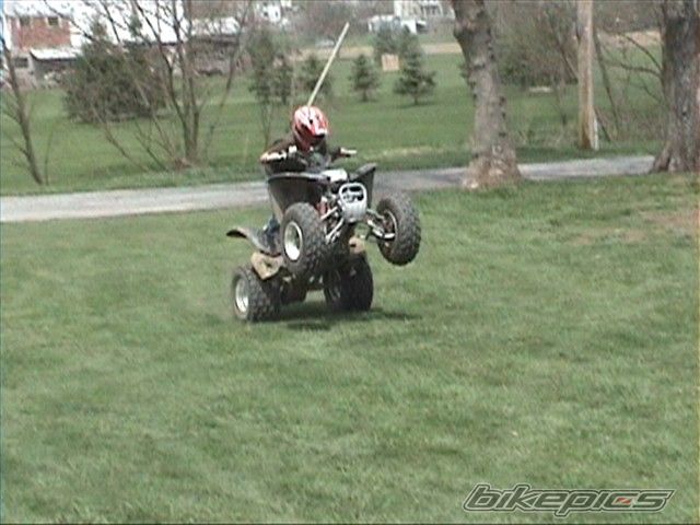 Photo 1397040