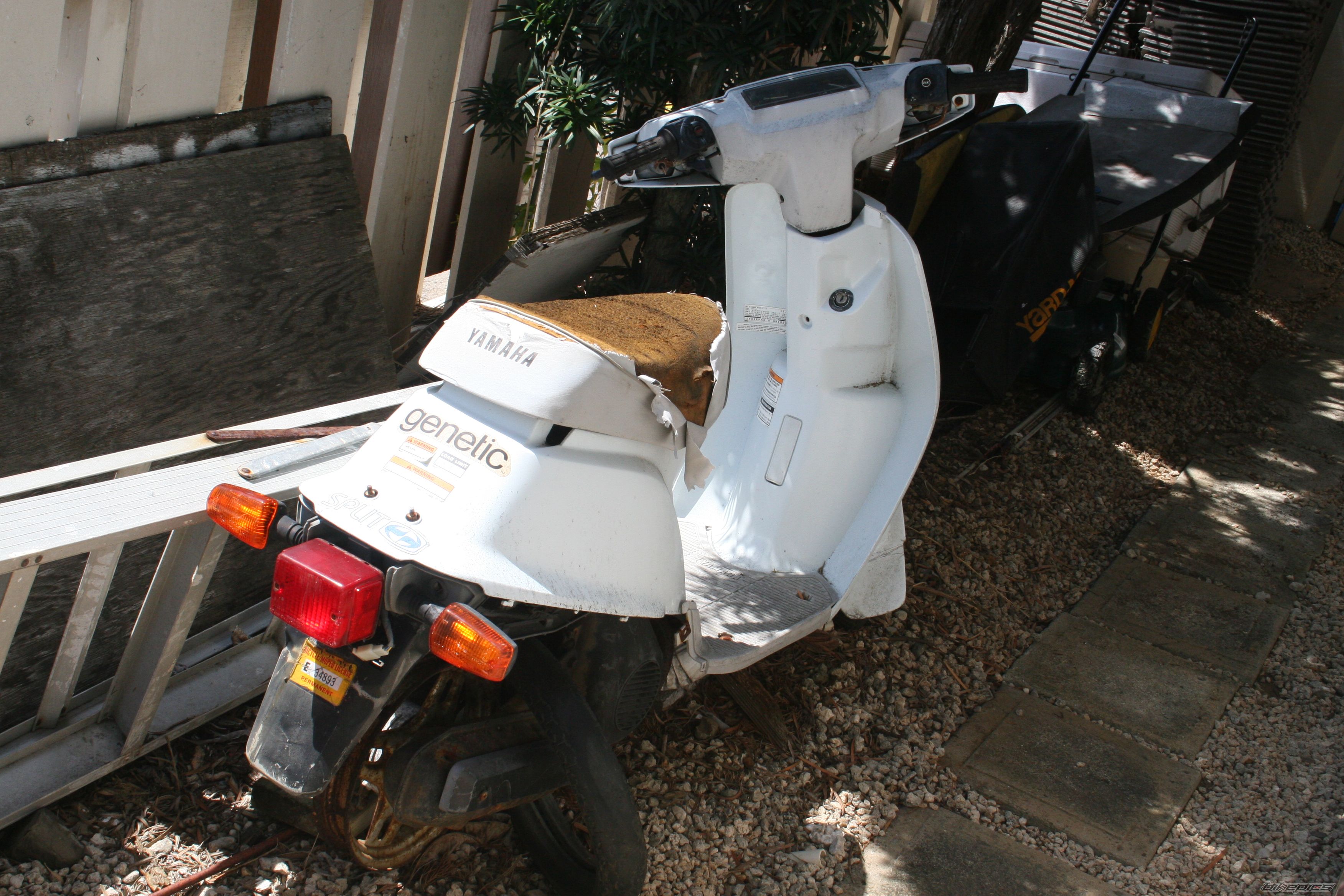 Photo 1397137