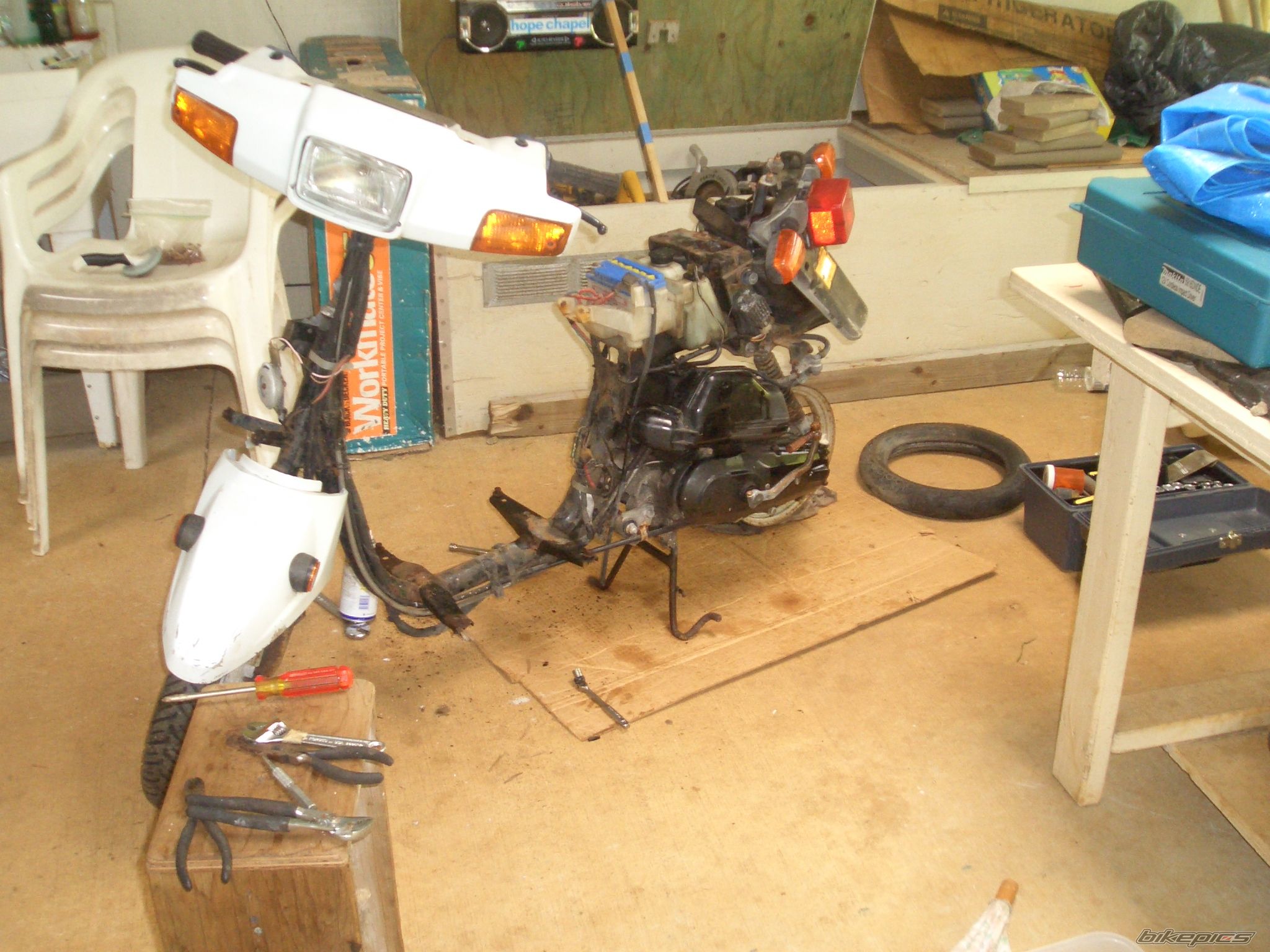 Photo 1397138