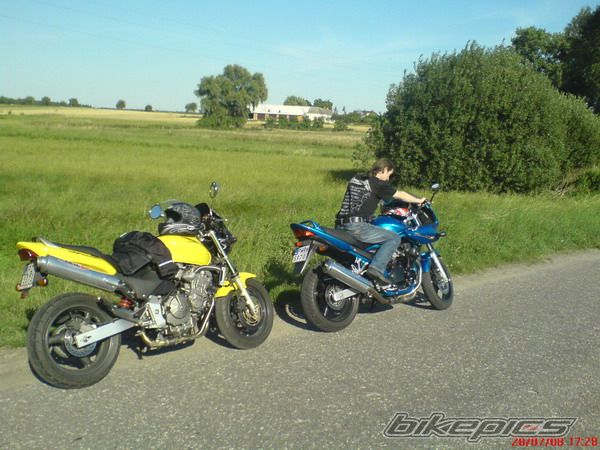 Photo 1397207