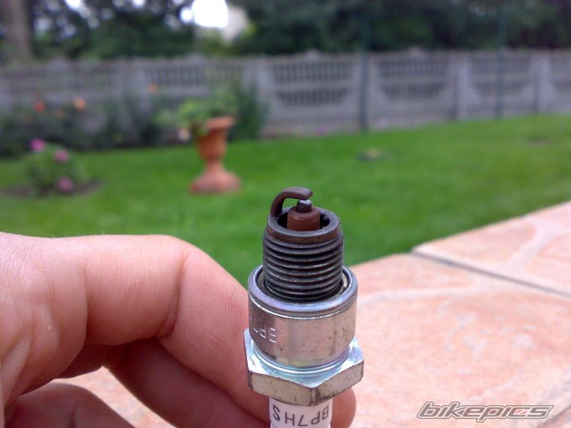 Photo 1397209