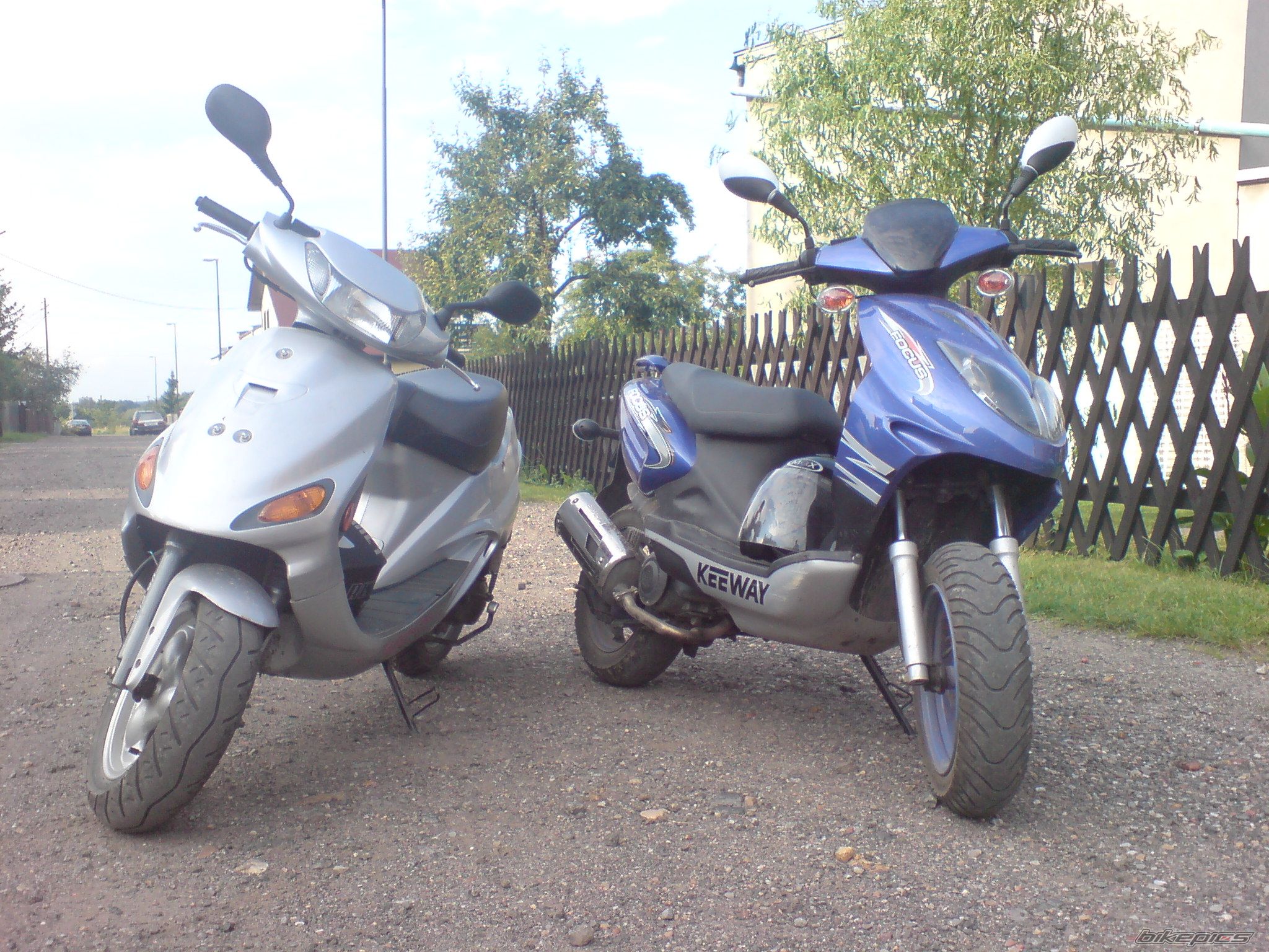Photo 1397229