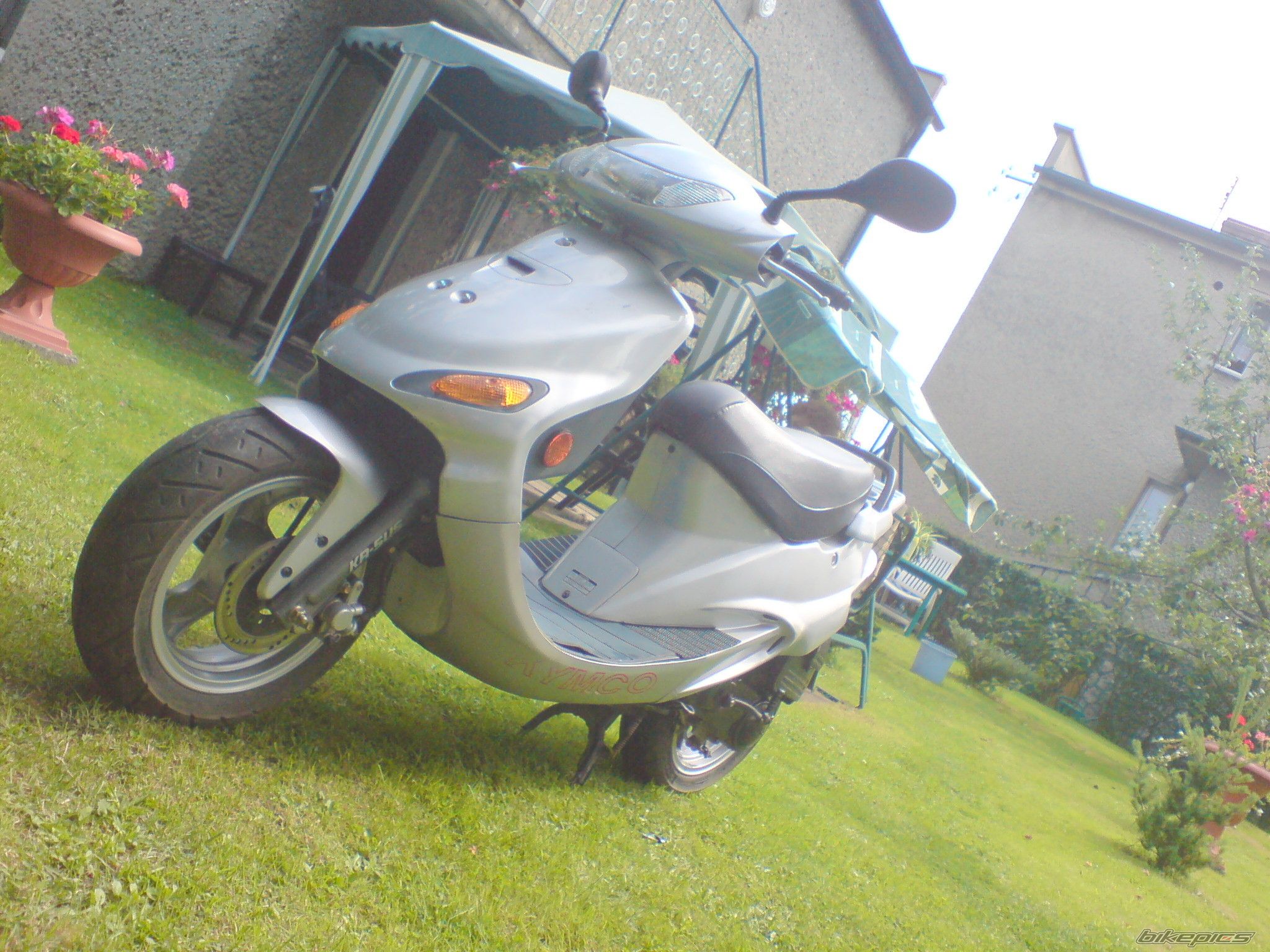 Photo 1397231