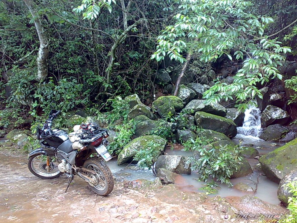 Photo 1397295