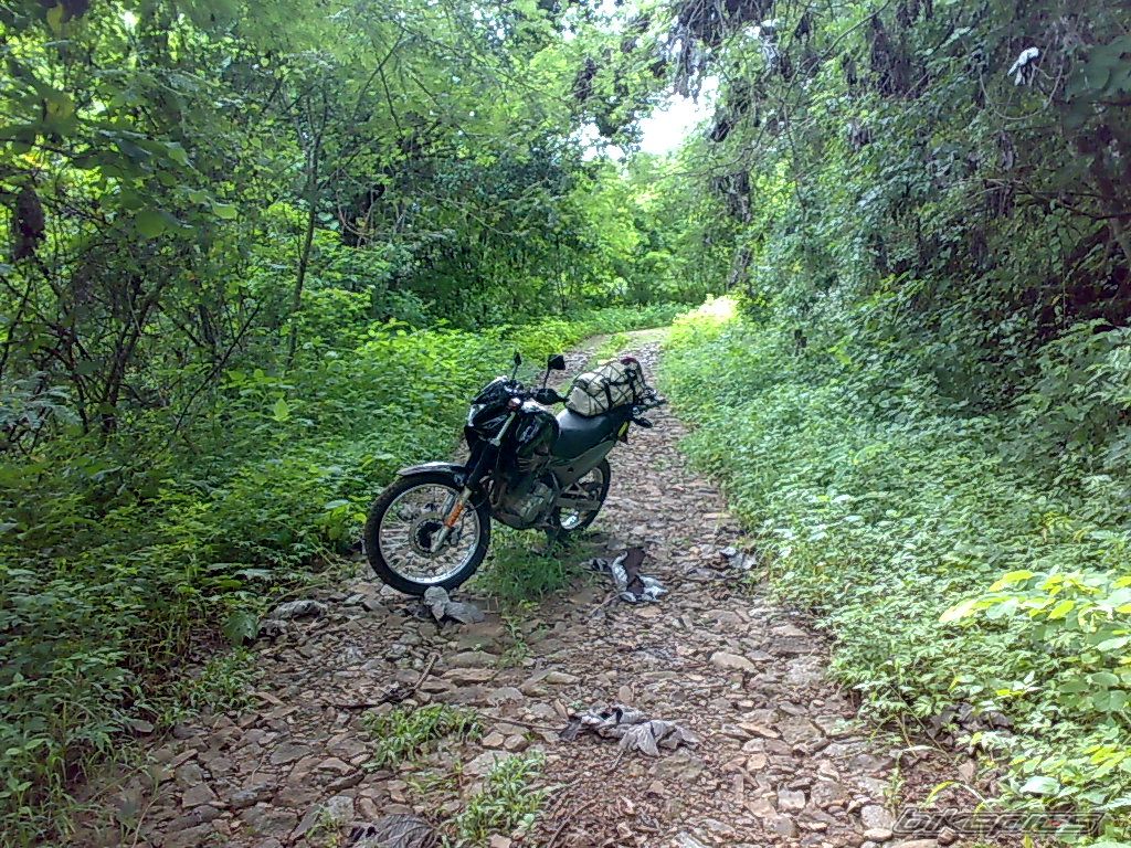 Photo 1397297
