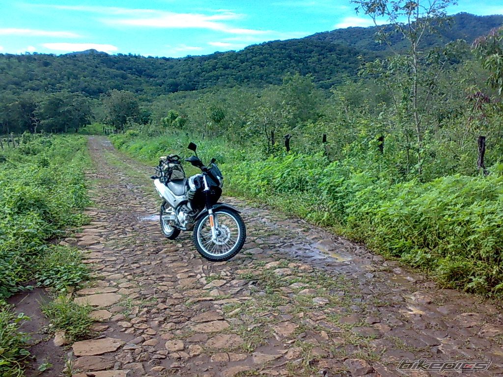 Photo 1397302
