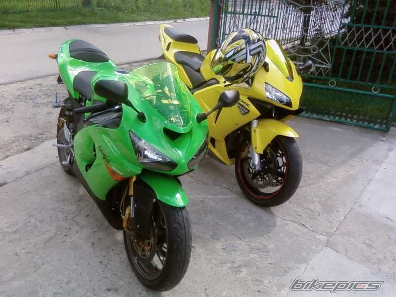 Photo 1397347