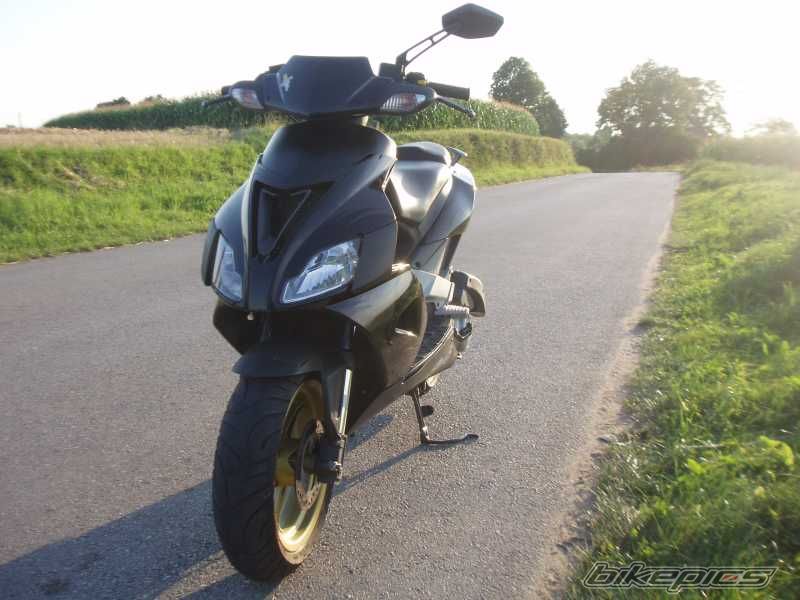 Photo 1397354