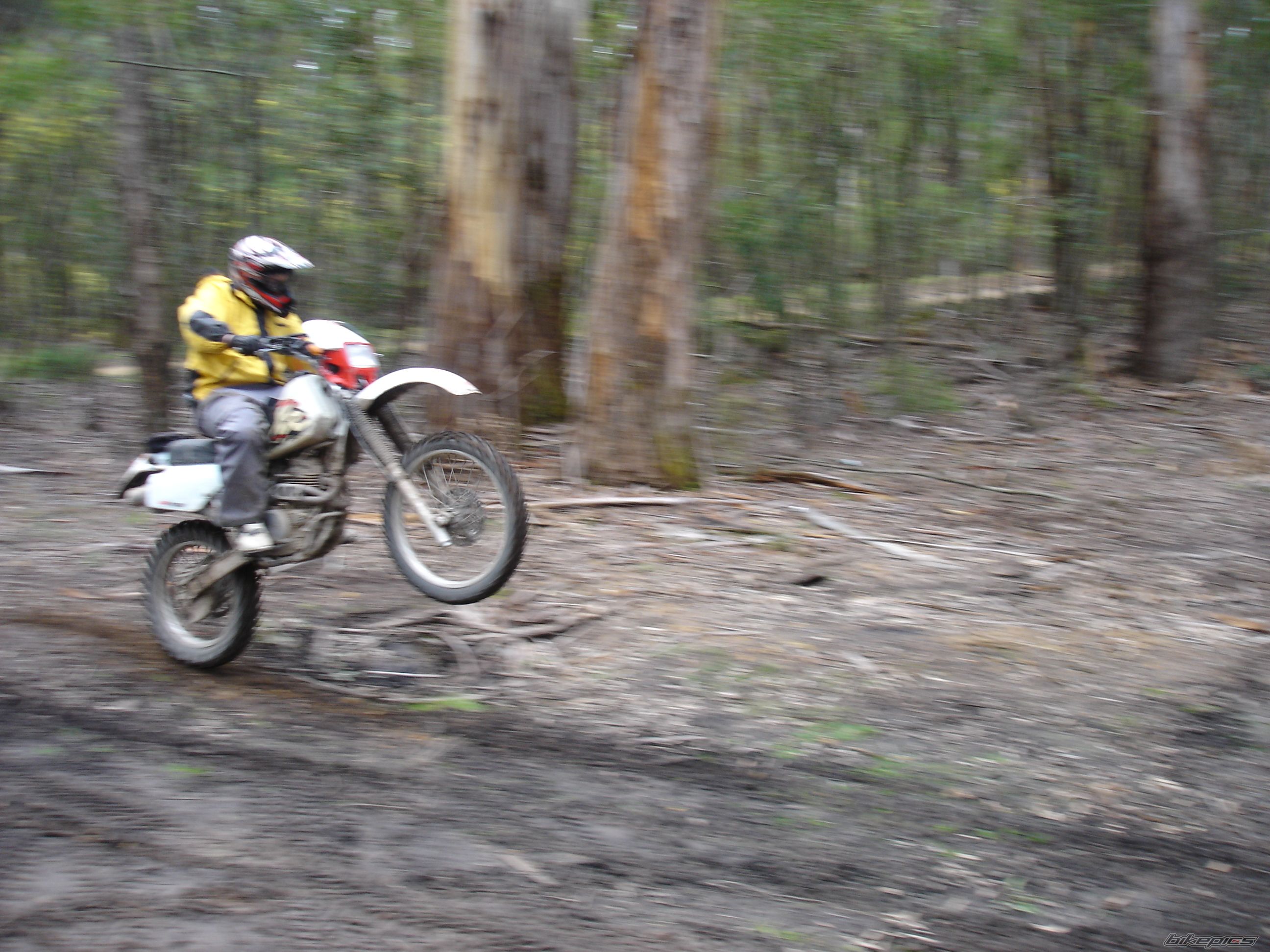 Bike Photo 1397359