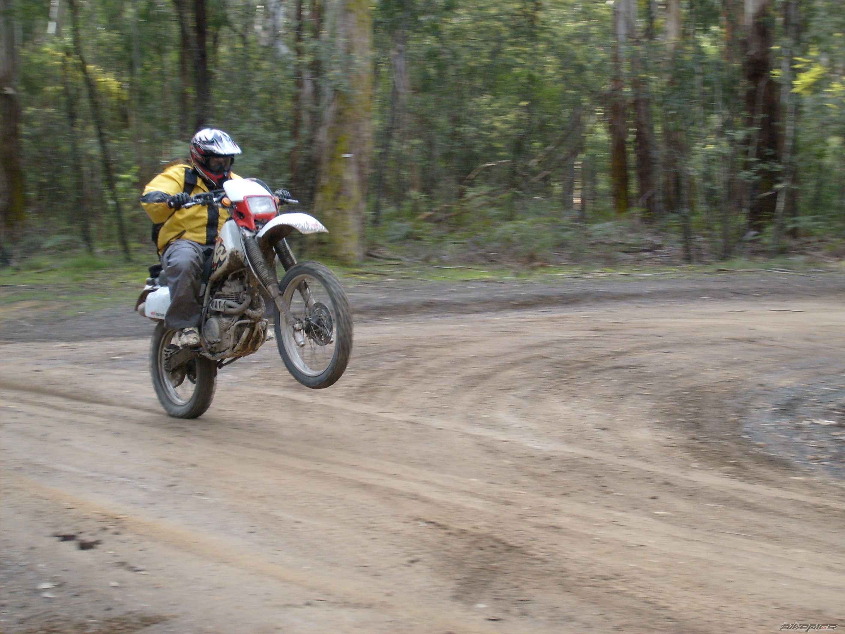 Bike Photo 1397365