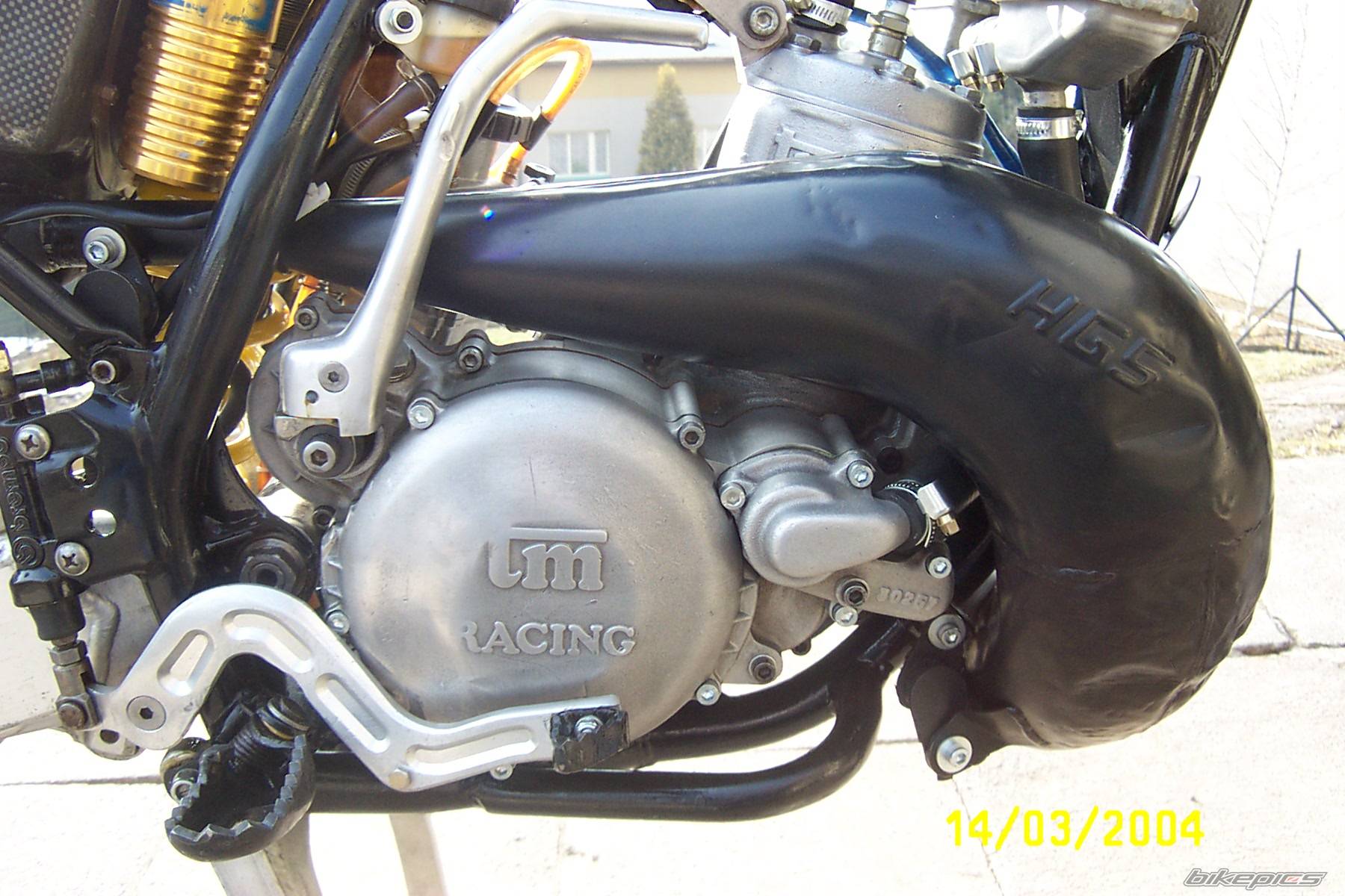 Photo 139748