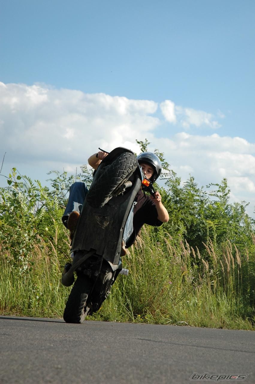 Photo 1397579