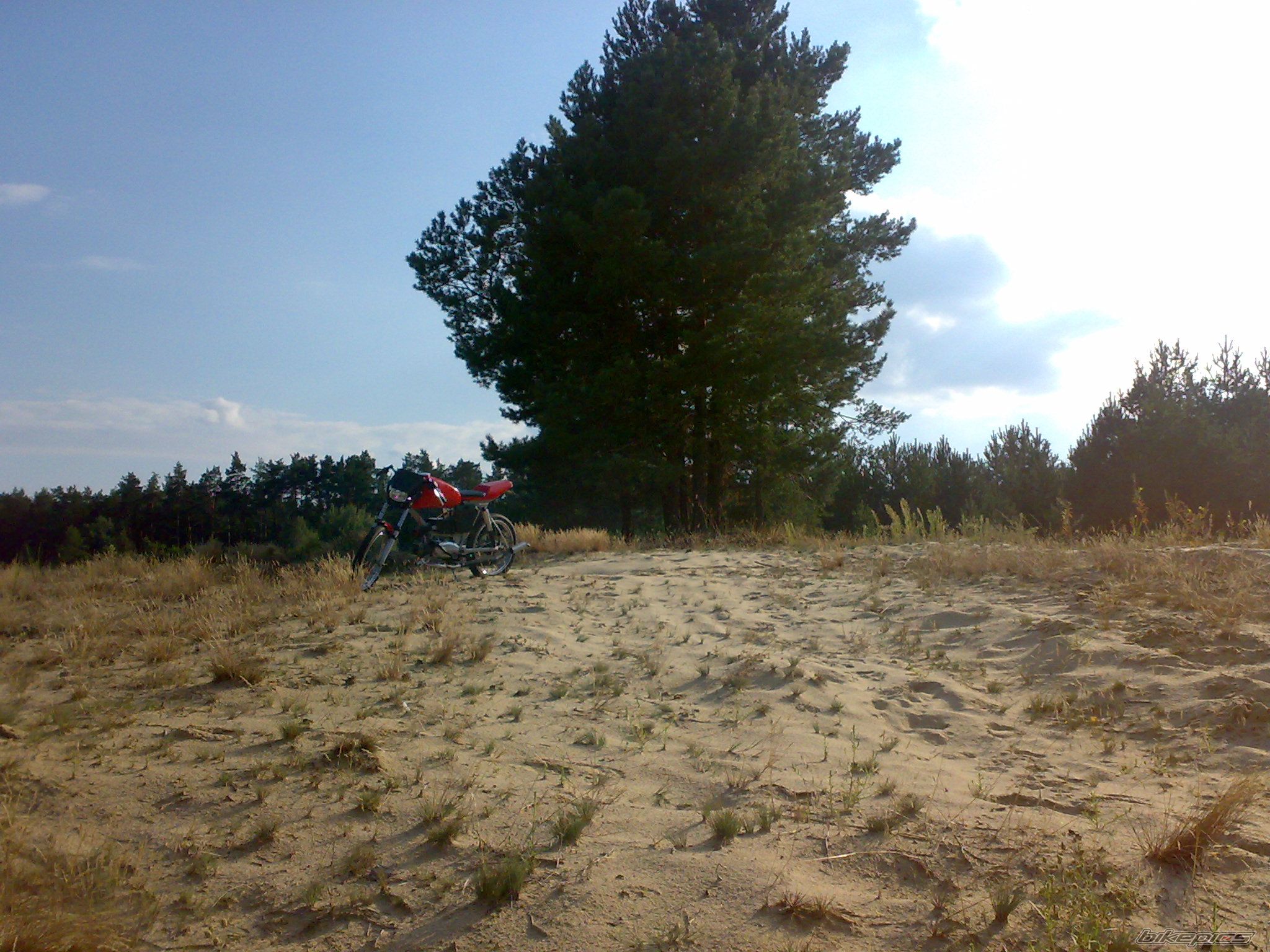 Photo 1397613