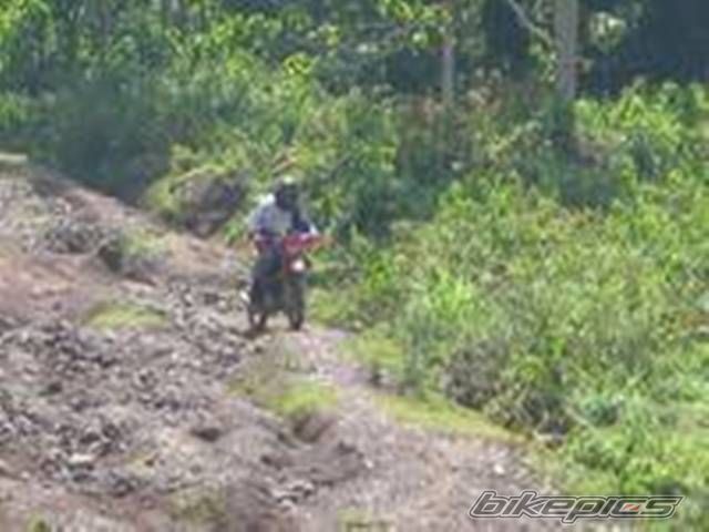 Photo 1397659