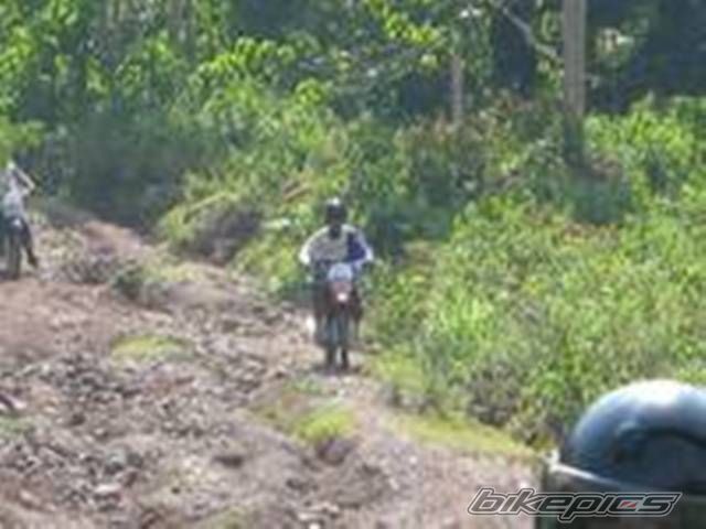 Photo 1397660