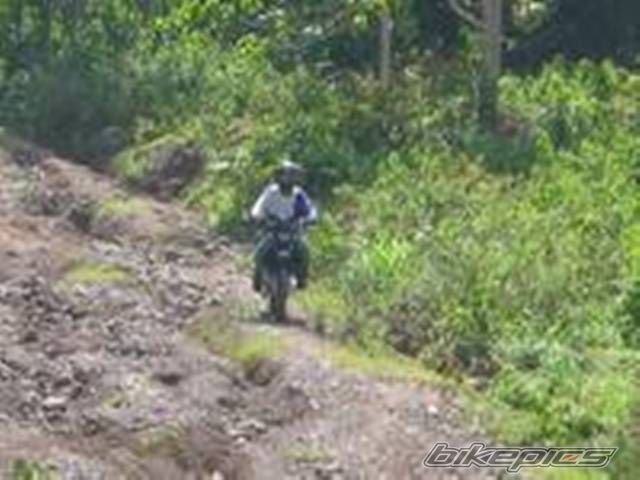 Photo 1397667