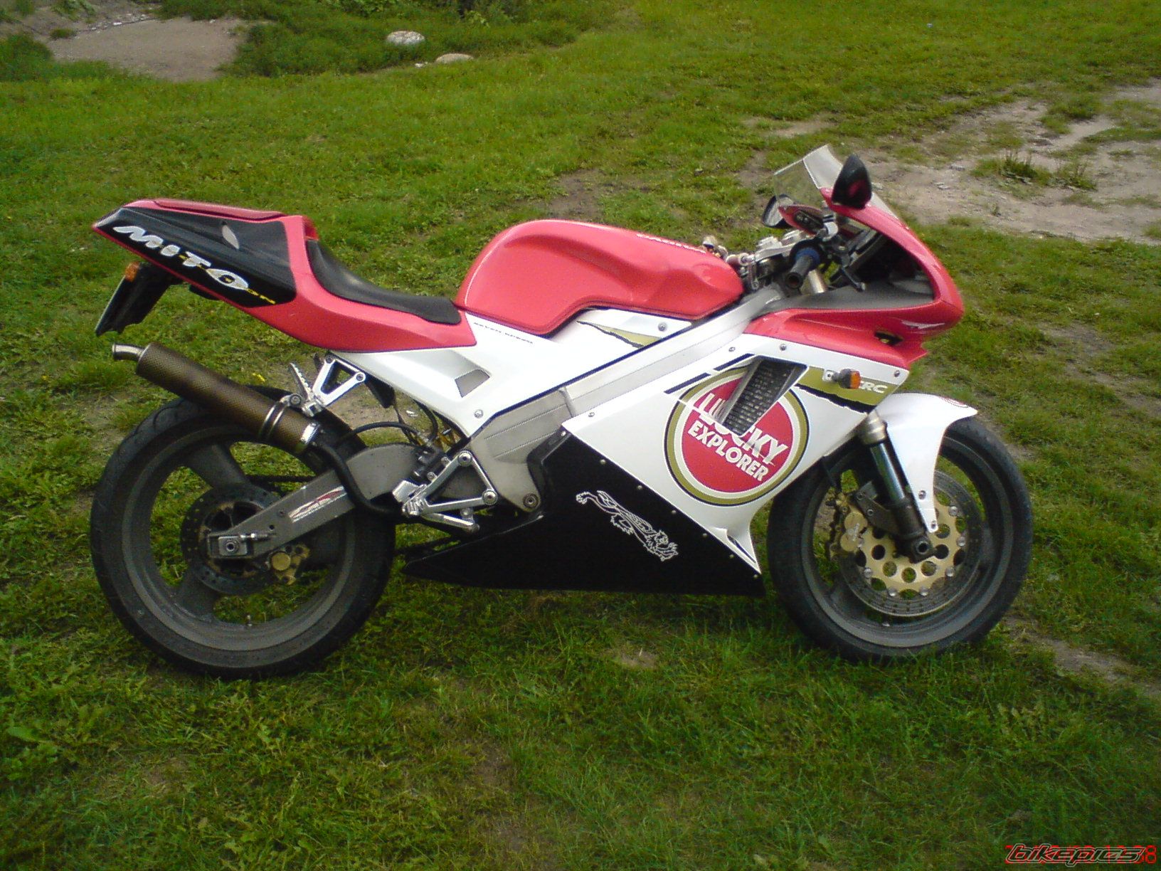 Photo 1397703