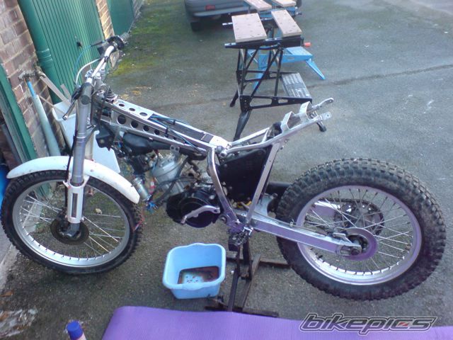 Photo 1397716