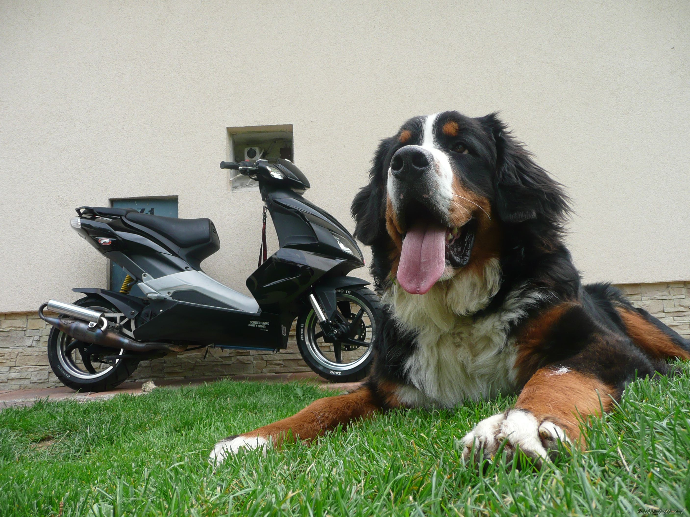 Photo 1397792