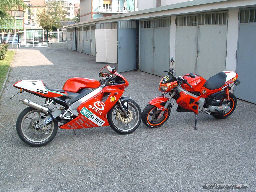 Photo 139780