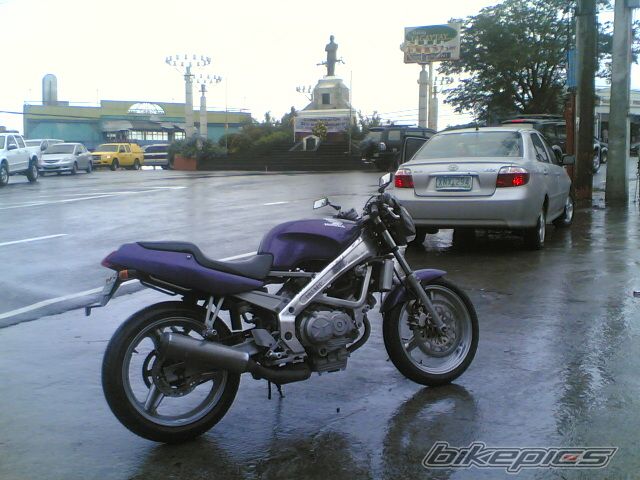 Photo 1397803